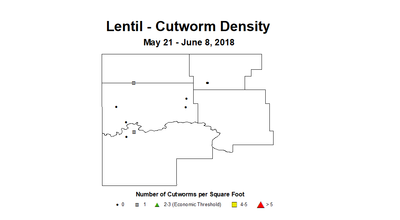 lentil cwyd2 5.21 6.8