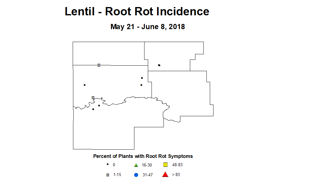 lentil rri 5.21 6.8