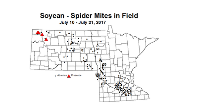 soybean mitesField 7 10 7 21 2017