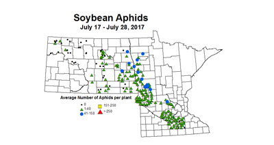 soybean avgAphid 7 17 7 28 2017