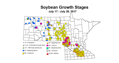 soybean zgS 7 17 7 28 2017