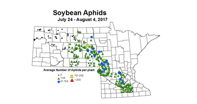 soybean averageAphid 7 24 8 4 2017