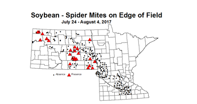 soybean mitesEdge 7 24 8 4 2017