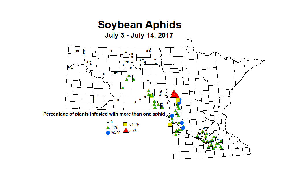 soybean aphidINC 7 3 7 14 2017