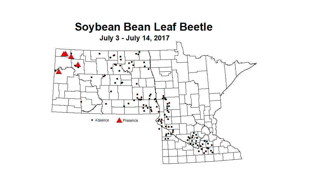 soybean blb 7 3 7 14 2017