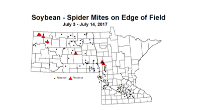 soybean mitesEdge 7 3 7 14 2017