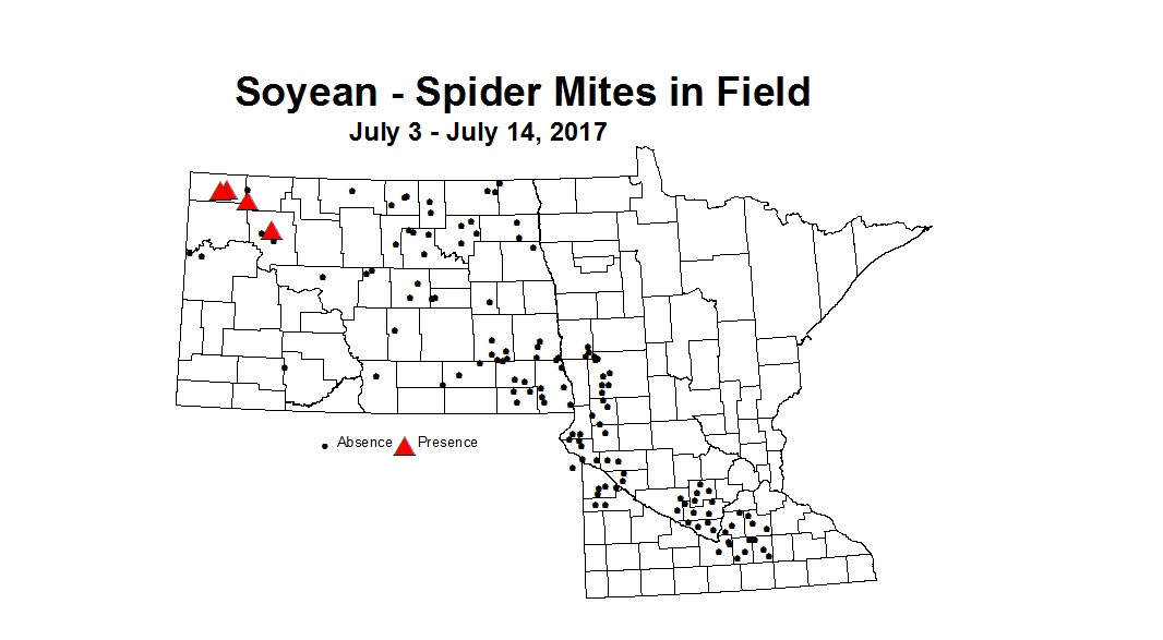 soybean mitesInField 7 3 7 14 2017
