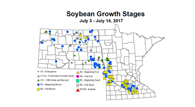 soybean zgs 7 3 7 14 2017