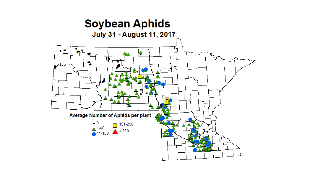 soybean AvgAphid 7 31 8 11 2017