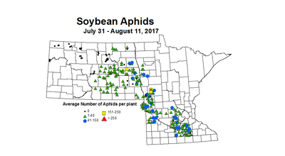 soybean AvgAphid 7 31 8 11 2017