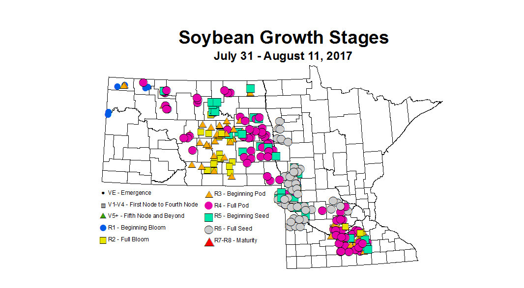 soybean zgs 7 31 8 11 2017