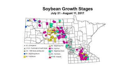 soybean zgs 7 31 8 11 2017