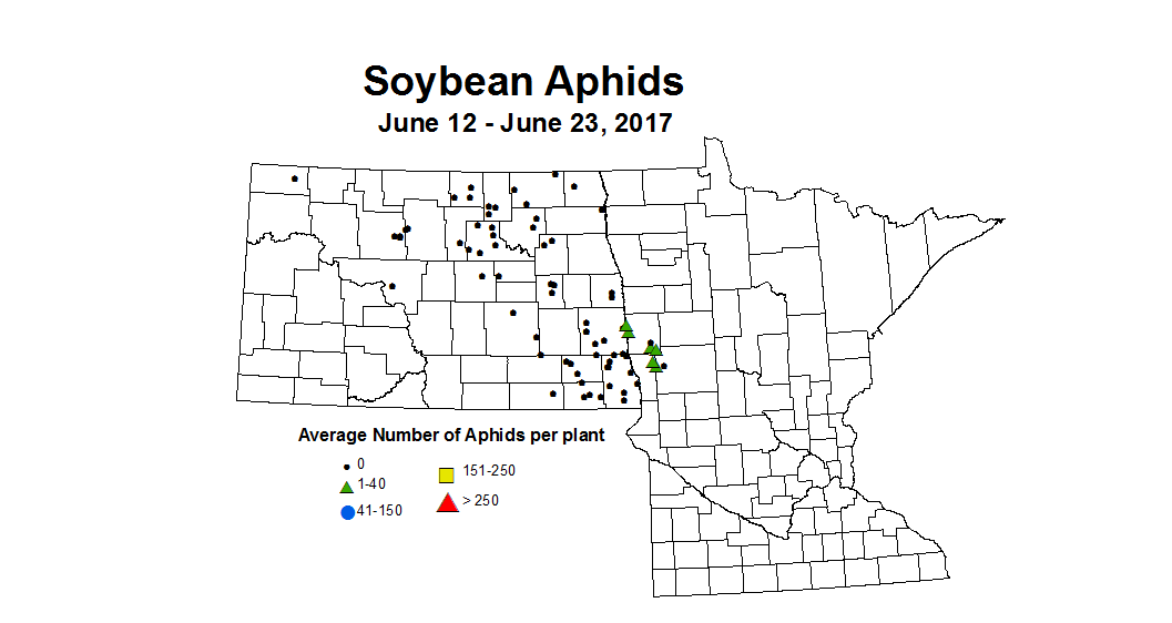 soybean avgAphids 2017 6 12 6 23