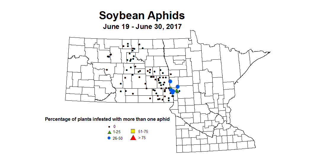soybean aphids 2017 6 19 6 30