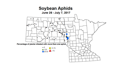 Soybean aphidInc 6 26 7 7 2017