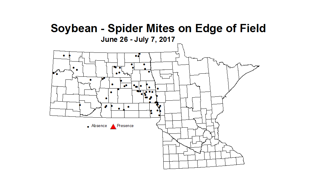 Soybean mitesEdge 6 26 7 7 2017