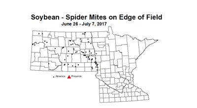 Soybean mitesEdge 6 26 7 7 2017