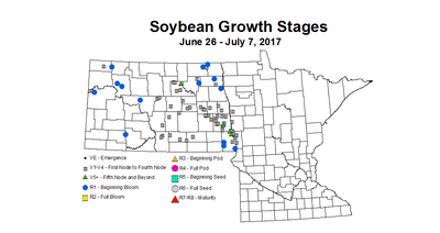 Soybean stage 6 26 7 7 2017