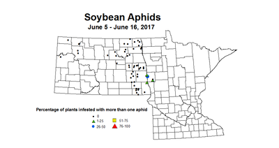 soybean aphidsInc 6 5 6 16 2017
