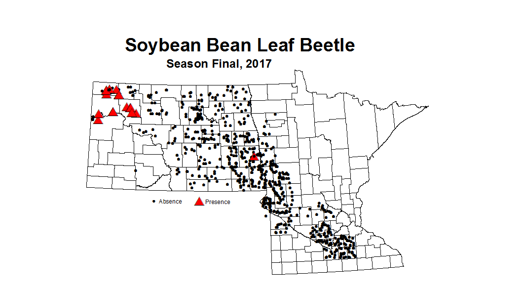 soybean BLB season 2017