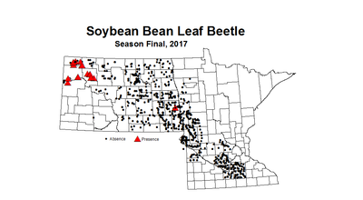 soybean BLB season 2017