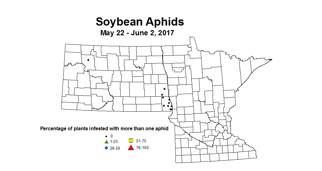 soybean 2017 May 22 to June 2 Aphids percent incident