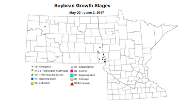 soybean 2017 May 22 to June 2 growth stage