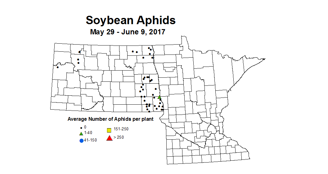 soybean AVGaphids 5 29 6 9 2017