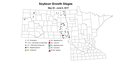 soybean growthstage 5 29 6 9 2017