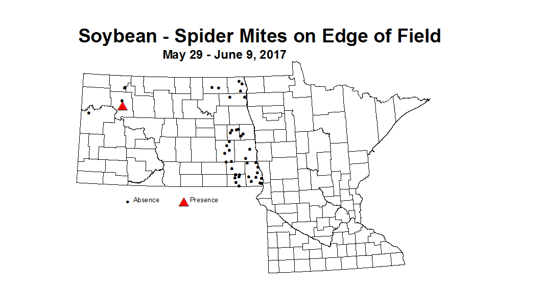 soybean mitesedge 5 29 6 9 2017