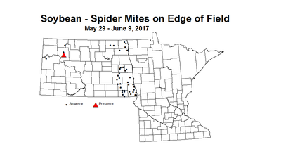 soybean mitesedge 5 29 6 9 2017