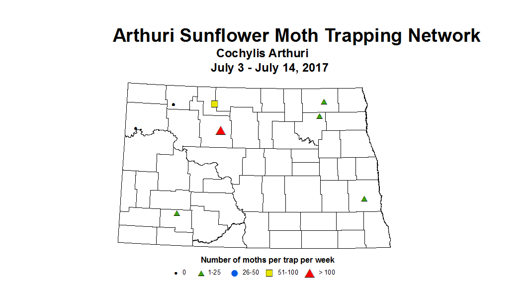 sunflowerInsectTrap arthur 7 3 7 14 2017