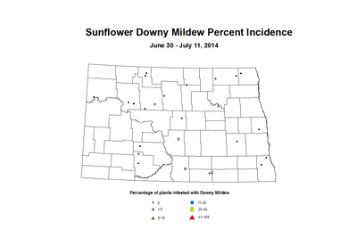 6 30 7 11 Sunflower DM Inc