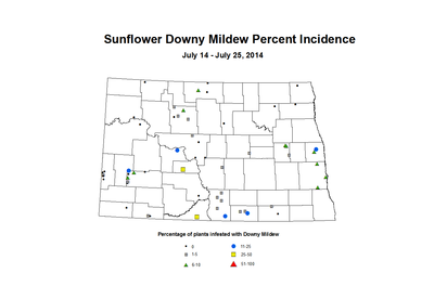 7 14 7 25 Sunflower DM Inc