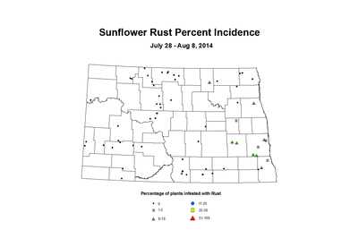 7 28 8 8 Sunflower SR Inc