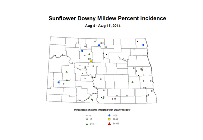 8 4 8 15 Sunflower DM Inc