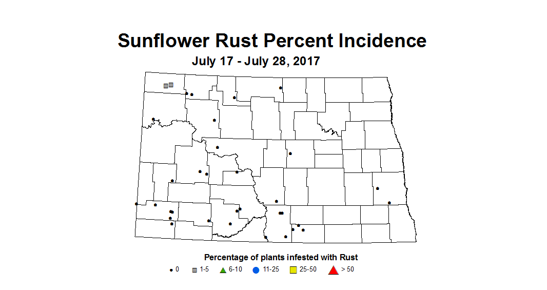 sunflower rustIncidence 7 17 7 28 2017