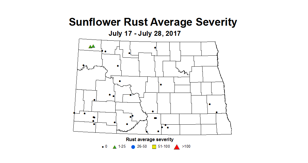 sunflower rustSeverity 7 17 7 28 2017