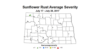 sunflower rustSeverity 7 17 7 28 2017
