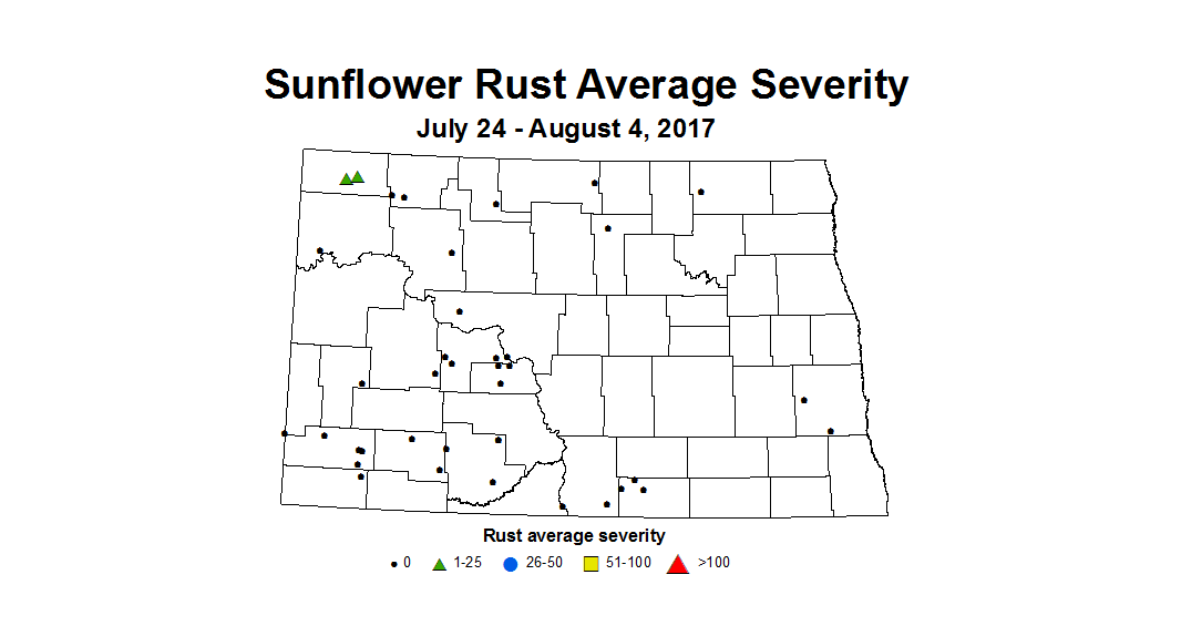 sunflower rustSeverity 7 24 8 4 2017