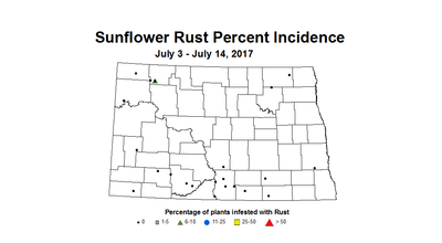 sunflower rustInc 7 3 7 14 2017