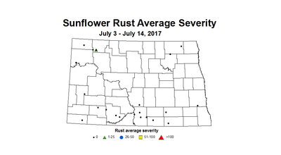 sunflower rustSV 7 3 7 14 2017