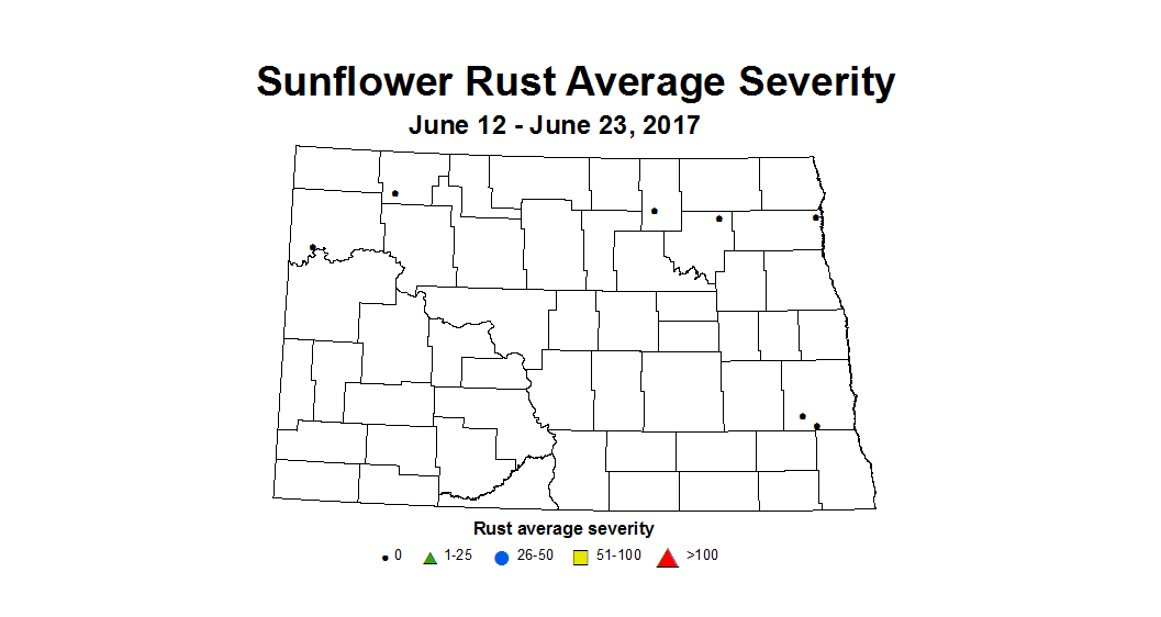 sunflower srustSev 6 12 6 23 2017