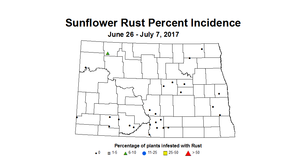 sunflower srustINC 2017 6 26 7 7