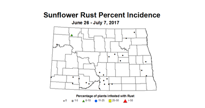 sunflower srustINC 2017 6 26 7 7