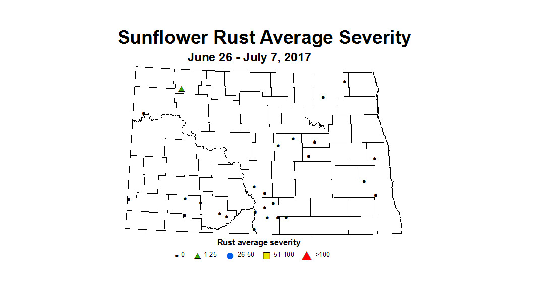 sunflower srustSEV 2017 6 26 7 7
