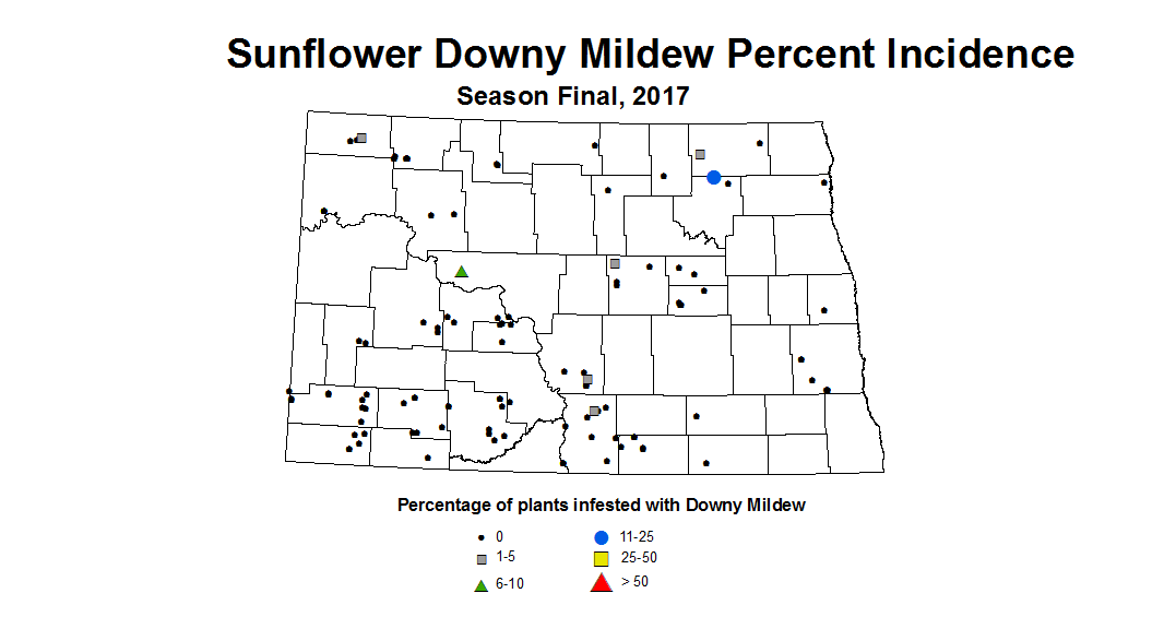 sunflower mildew season 2017