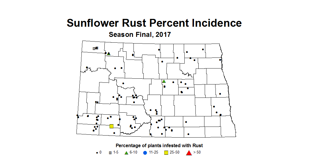 sunflower rustIncidence season 2017