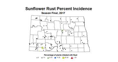 sunflower rustIncidence season 2017