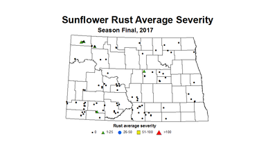 sunflower rustSeverity season 2017